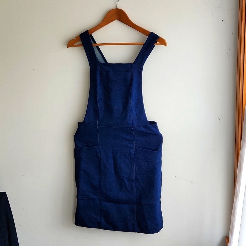 Birds of North America Harrier denim tunic